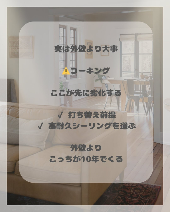 画像1446