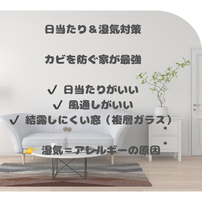画像2002