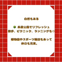画像2517