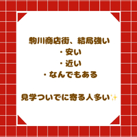 画像2524