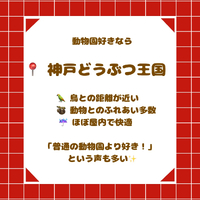 画像2742