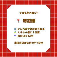 画像2747