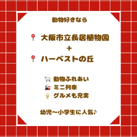 画像2749