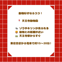 画像2771