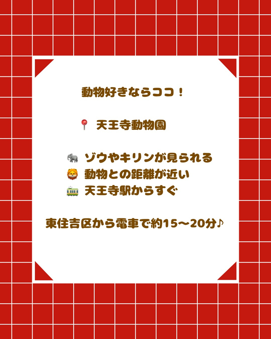 画像2795