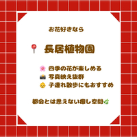 画像2797