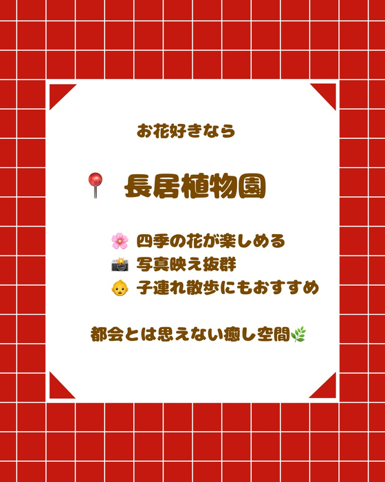 画像2797