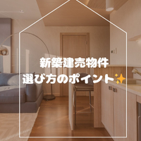 画像293