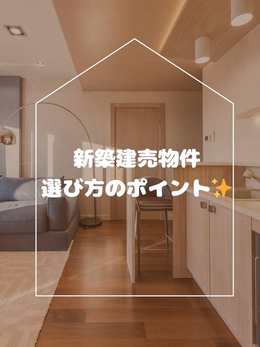 画像293