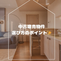 画像299