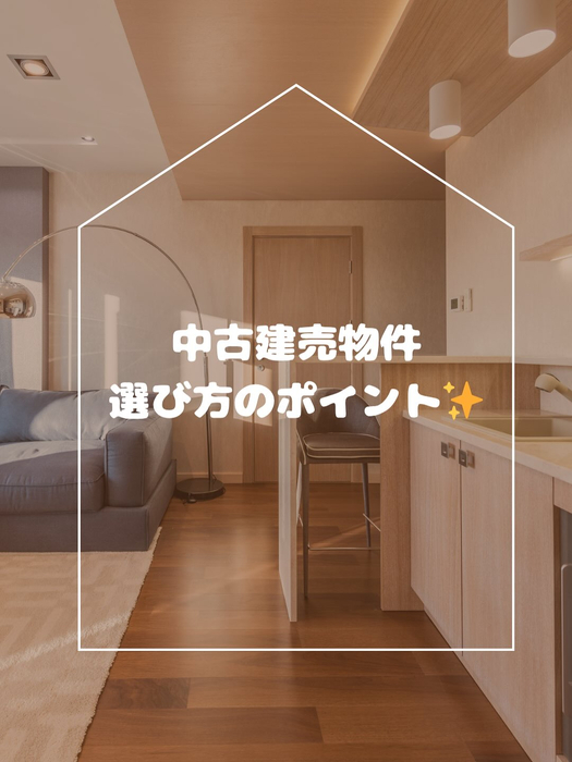 画像299