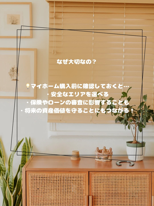 画像341