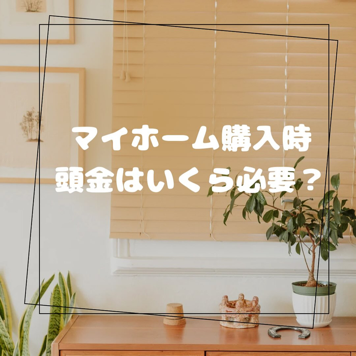 画像355