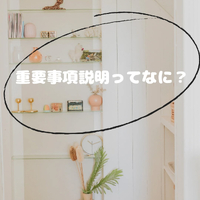 画像381