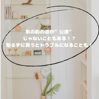 画像442