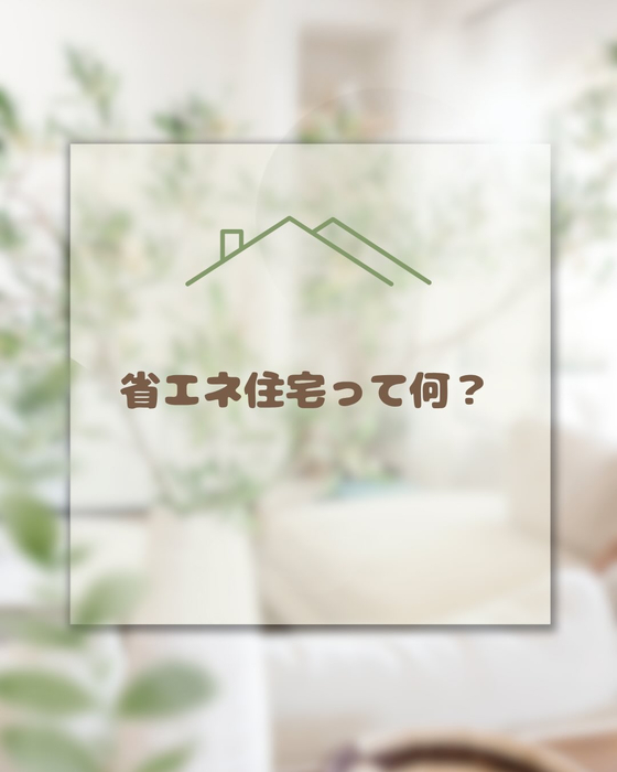 画像519