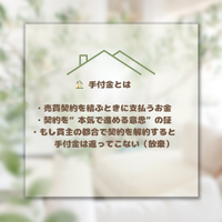 画像545