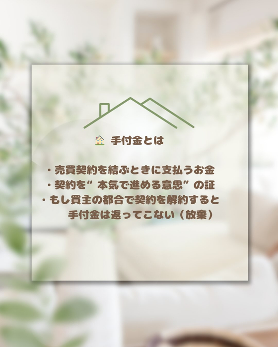 画像545