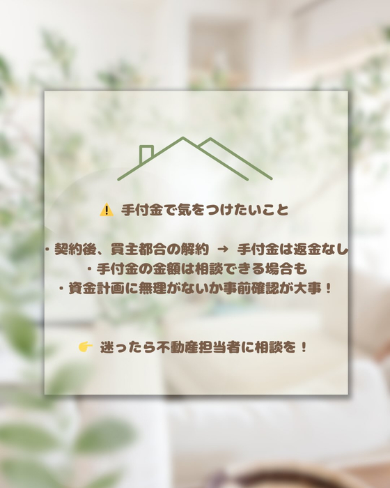 画像548