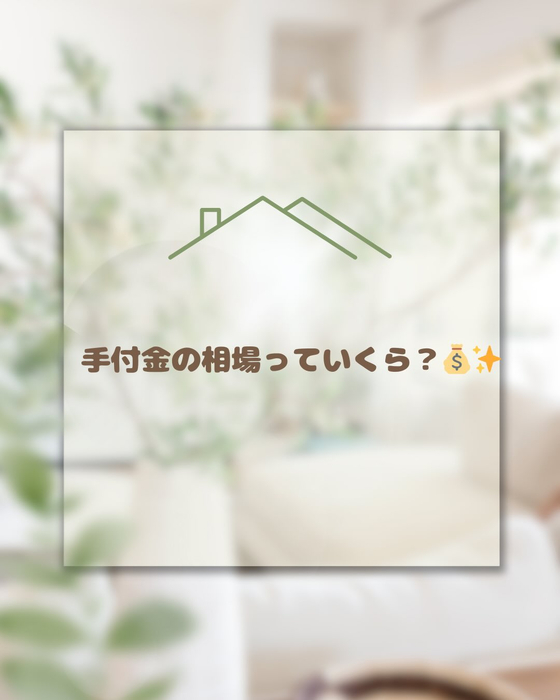 画像551