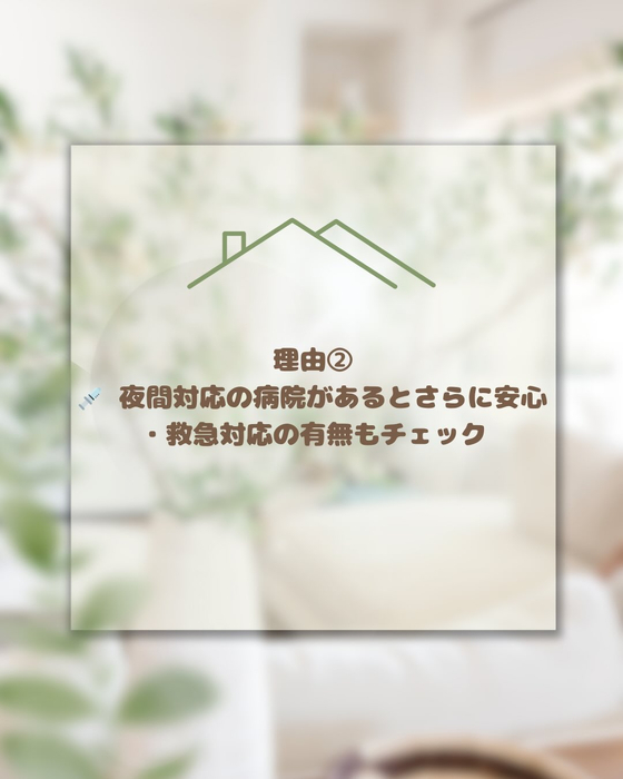 画像618